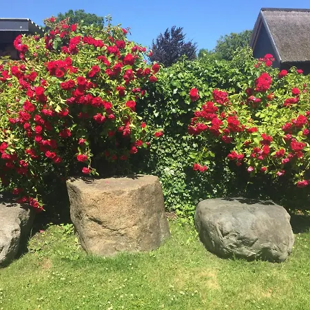 Doppelzimmer Rum i privatbostad Bresewitz